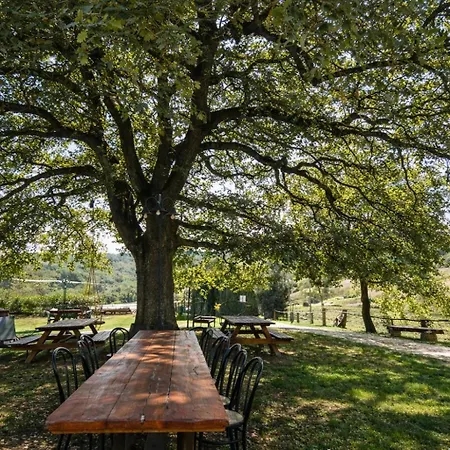 Scappo In Umbria, Casale Al Lago Prázdninový dům *